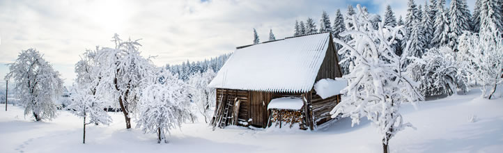 Winterwunder in der Au Winterwunder in der Au